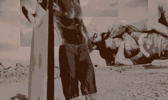 Brown Belt: The Shaper Brown Belt: The Shaper