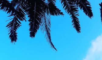 Drop IN: Saigon, Pt.2 Drop IN: Saigon, Pt.2